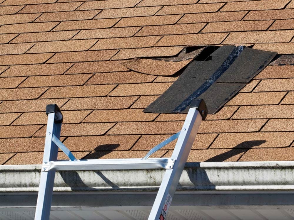 LMP Roofing and Construction Roof Repair Services